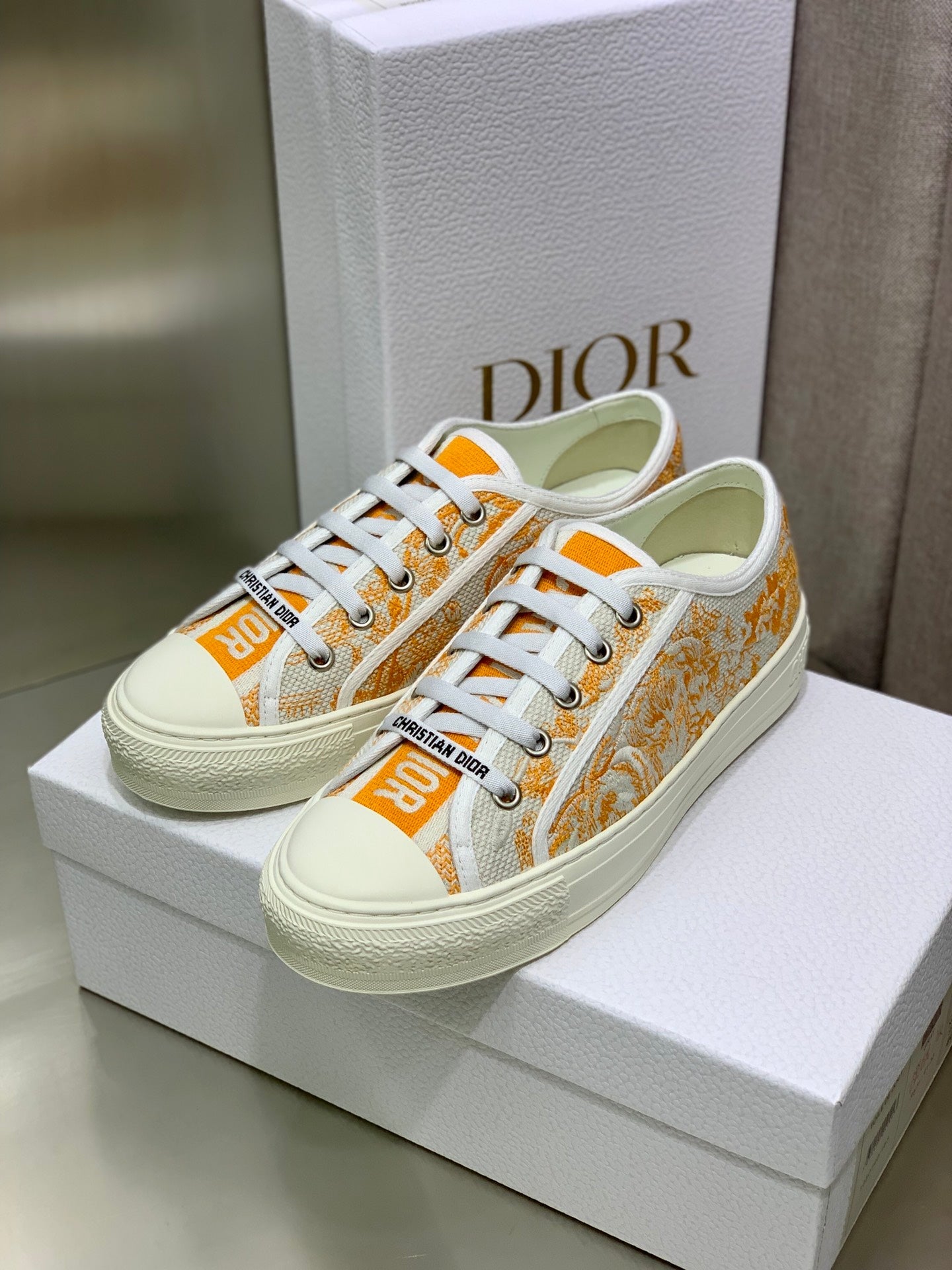 Dior 2026 Walk'n'Dior Sneakers Canvas Lace 966616