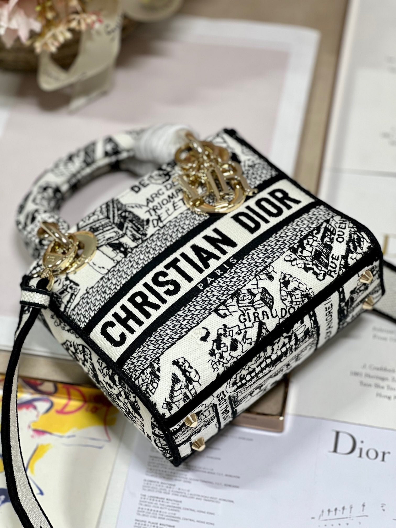 CD Paris White 17 Lady Dior Bag Canvas 336756