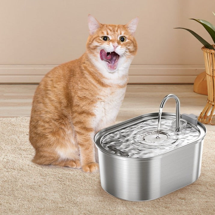 BILLY - Fontaine à eau automatique en acier inoxydable 3.2L