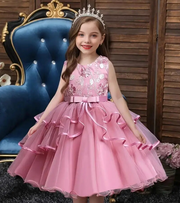Girls Sleeveless Flower Embroidery Tutu Dress