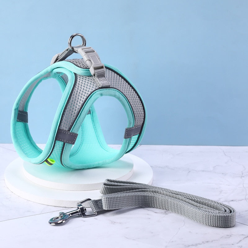 Ensemble Harnais + Laisse maille ultra respirante