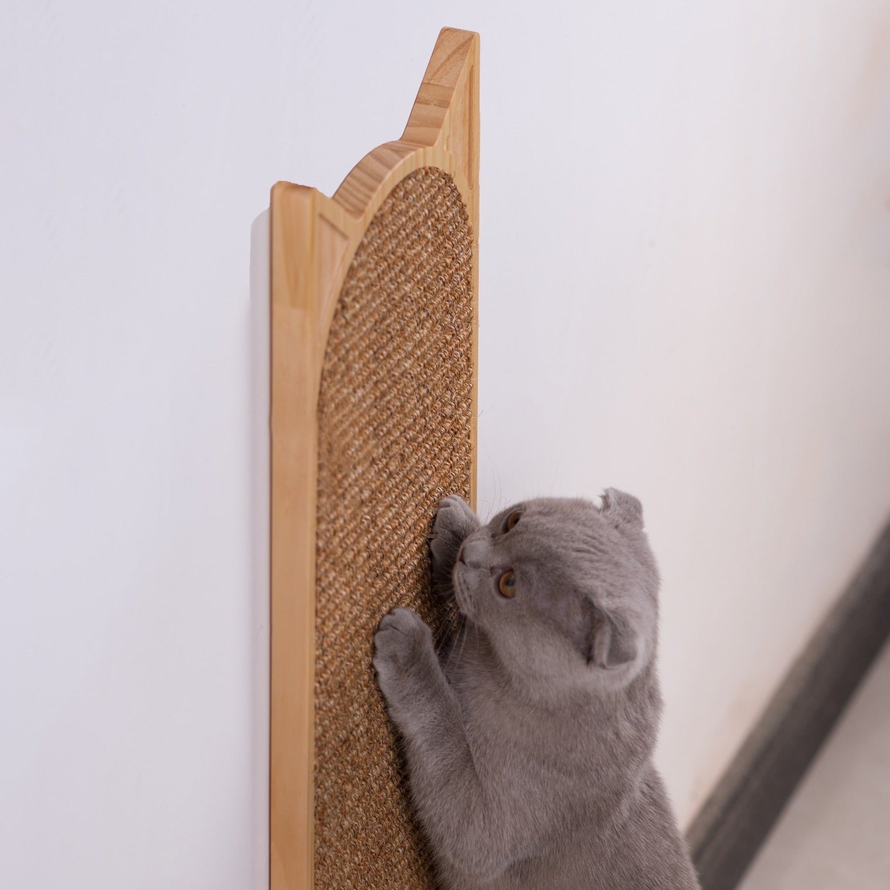 GRATTY - Grattoir mural pour chat design oreilles de chat