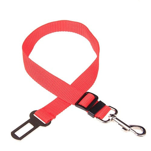 Ceinture de sécurité réglable pour animal de compagnie