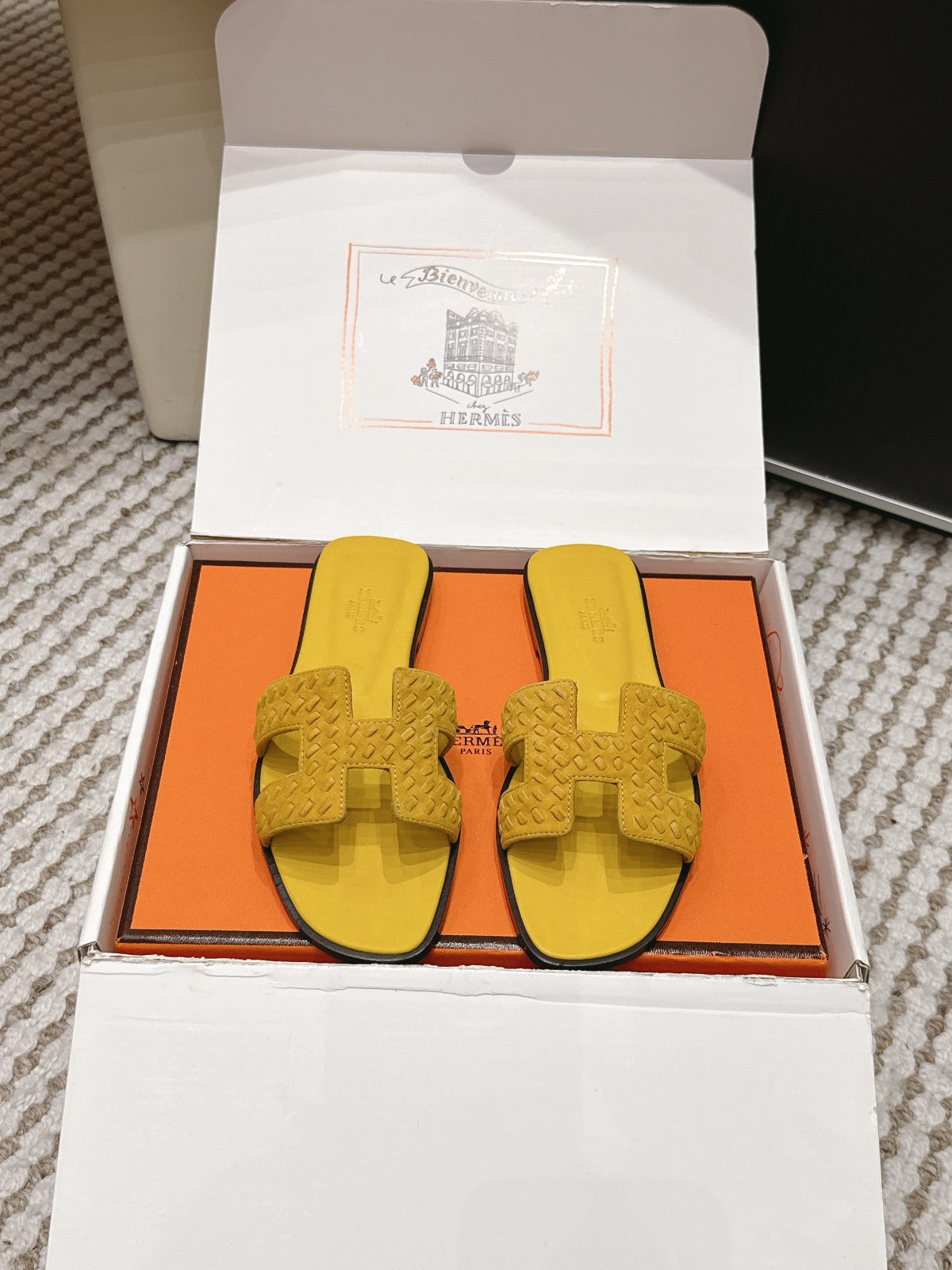 Hermes 2026 Oran Sandal Velvet Leather 598224