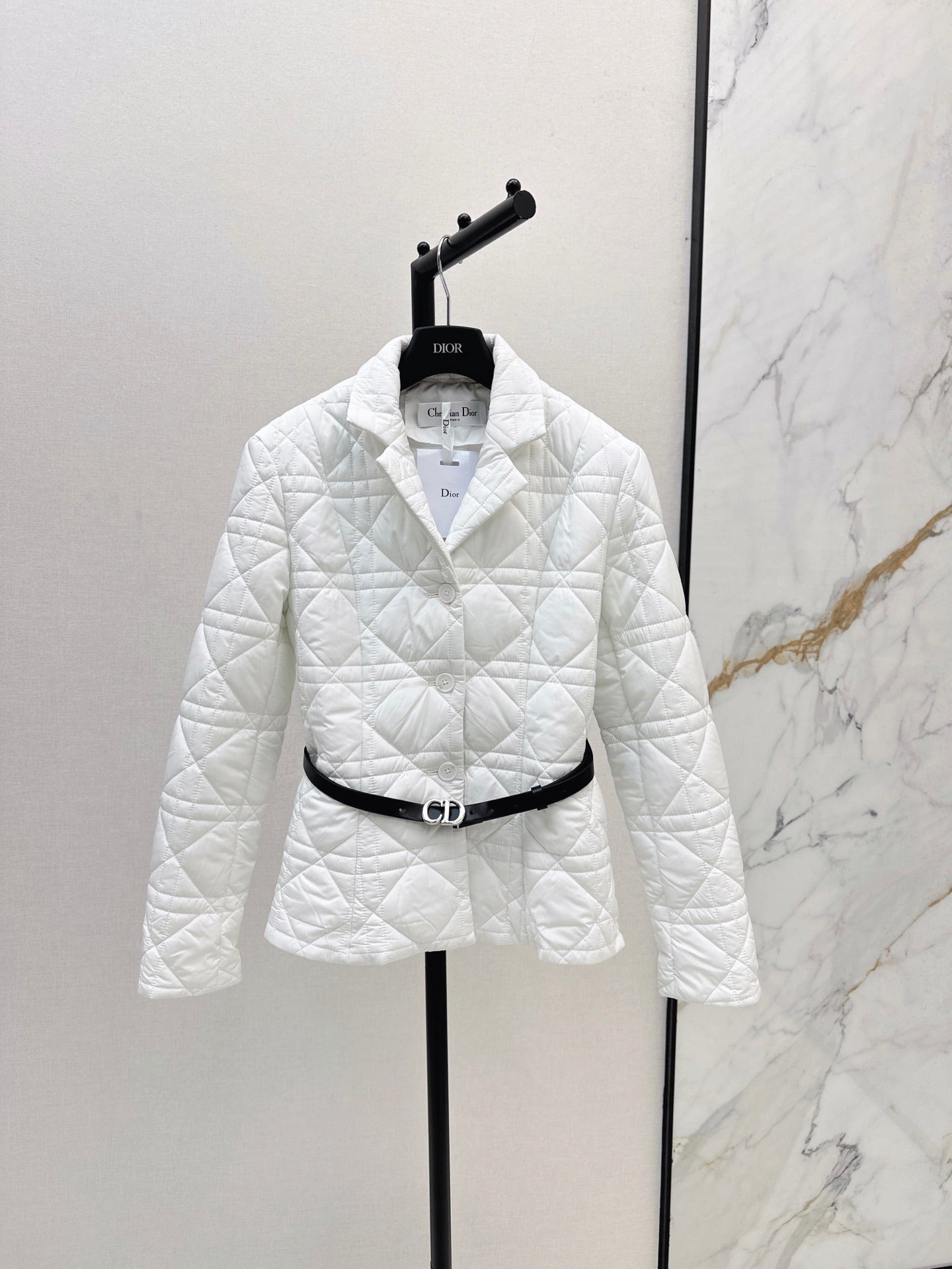 Dior 2026 Cannage Quilted Jacket Down Nylon 773944