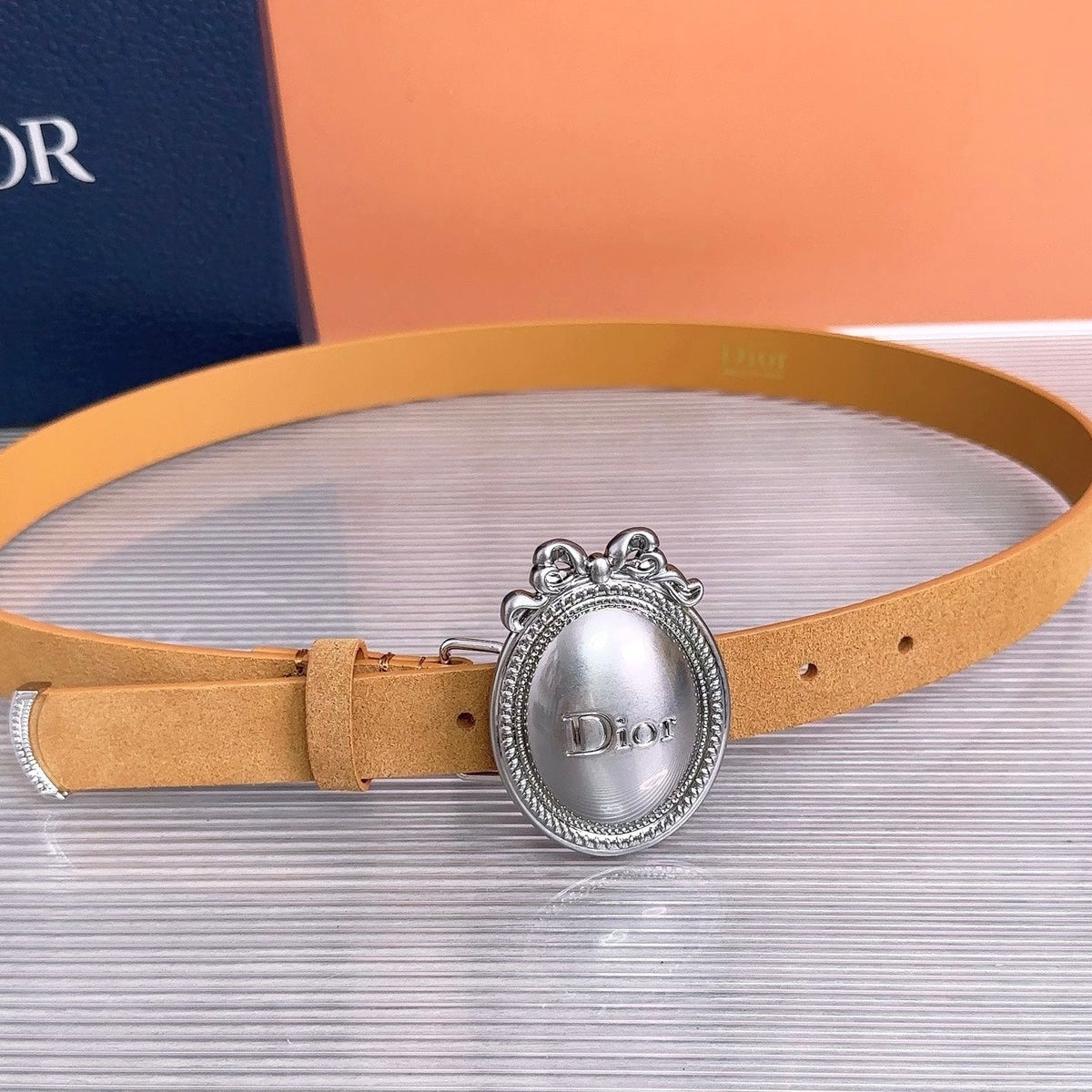 Dior 2026 Medaillon Belt 25mm Suede 218667