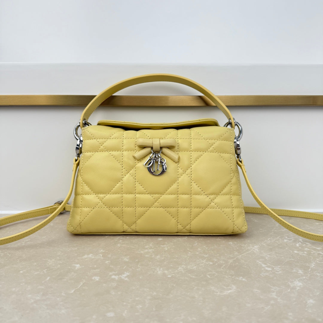 Dior 2026 Adiorable Top Handle Bag 22.5cm Suede Lambskin 166137