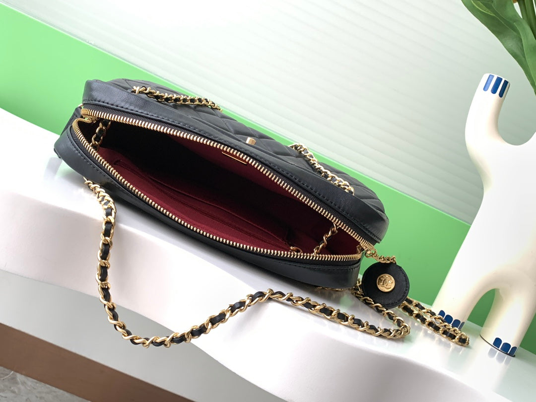 Chanel 2025 Camera 24cm Bag Black Quilted Leather 320975