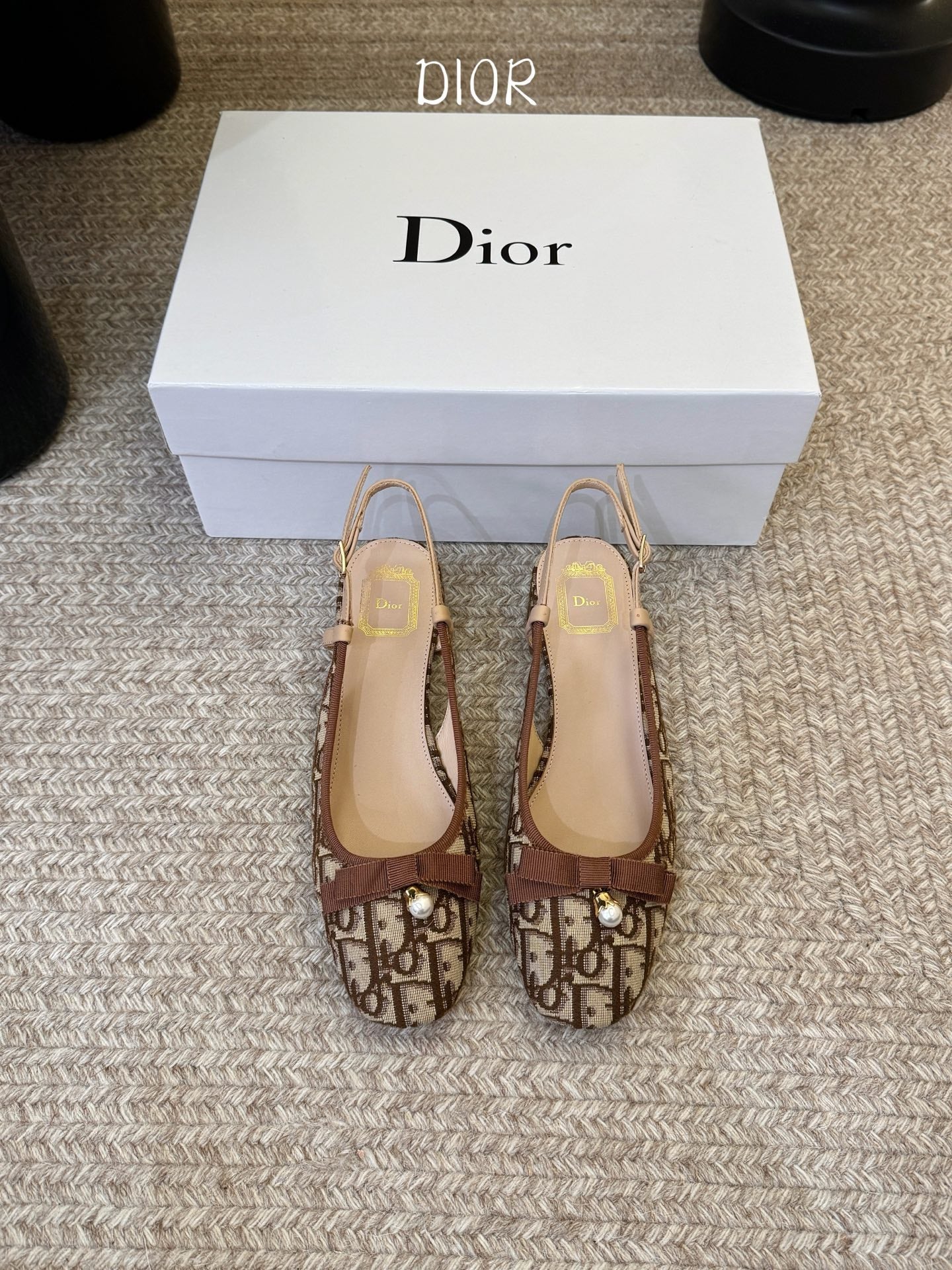 Dior 2026 Embroidered Slingback 30mm Cotton Leather 933329
