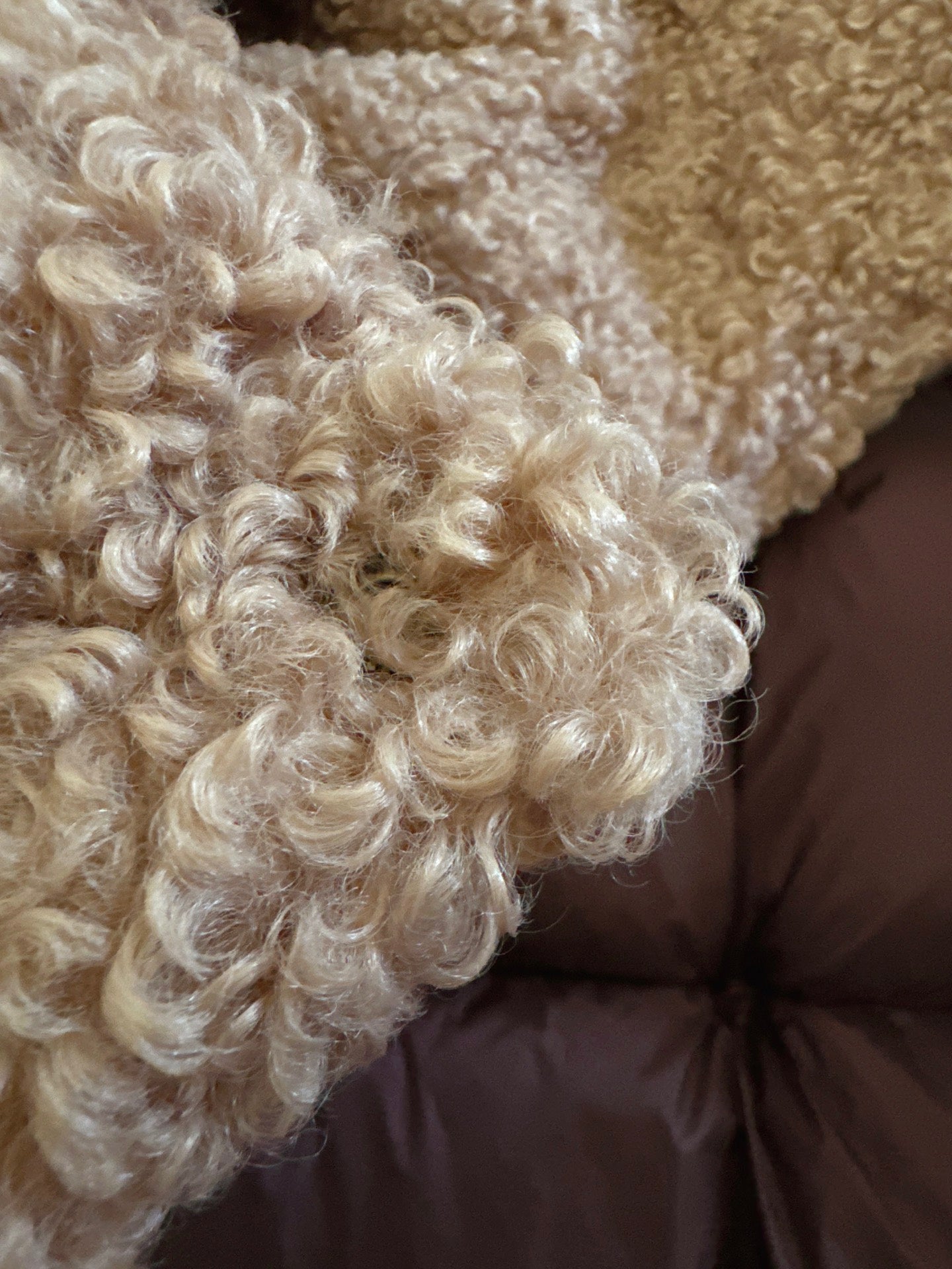 Moncler 2025 Castelnou Jacket Orange Beige Wool Down