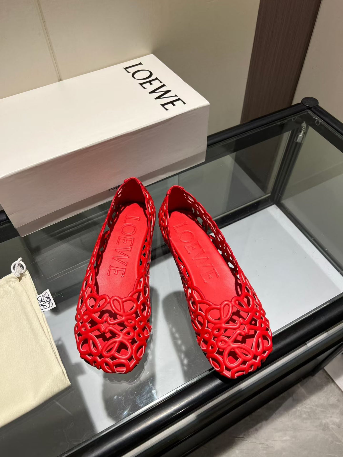 Loewe 2026 Petal Anagram Ballet Flat Lambskin 168351