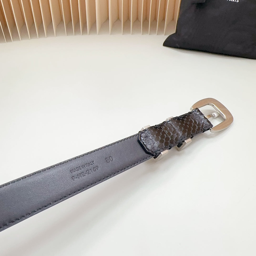 Medium Western Belt 25mm Black Snake Embossed Calfskin Shw