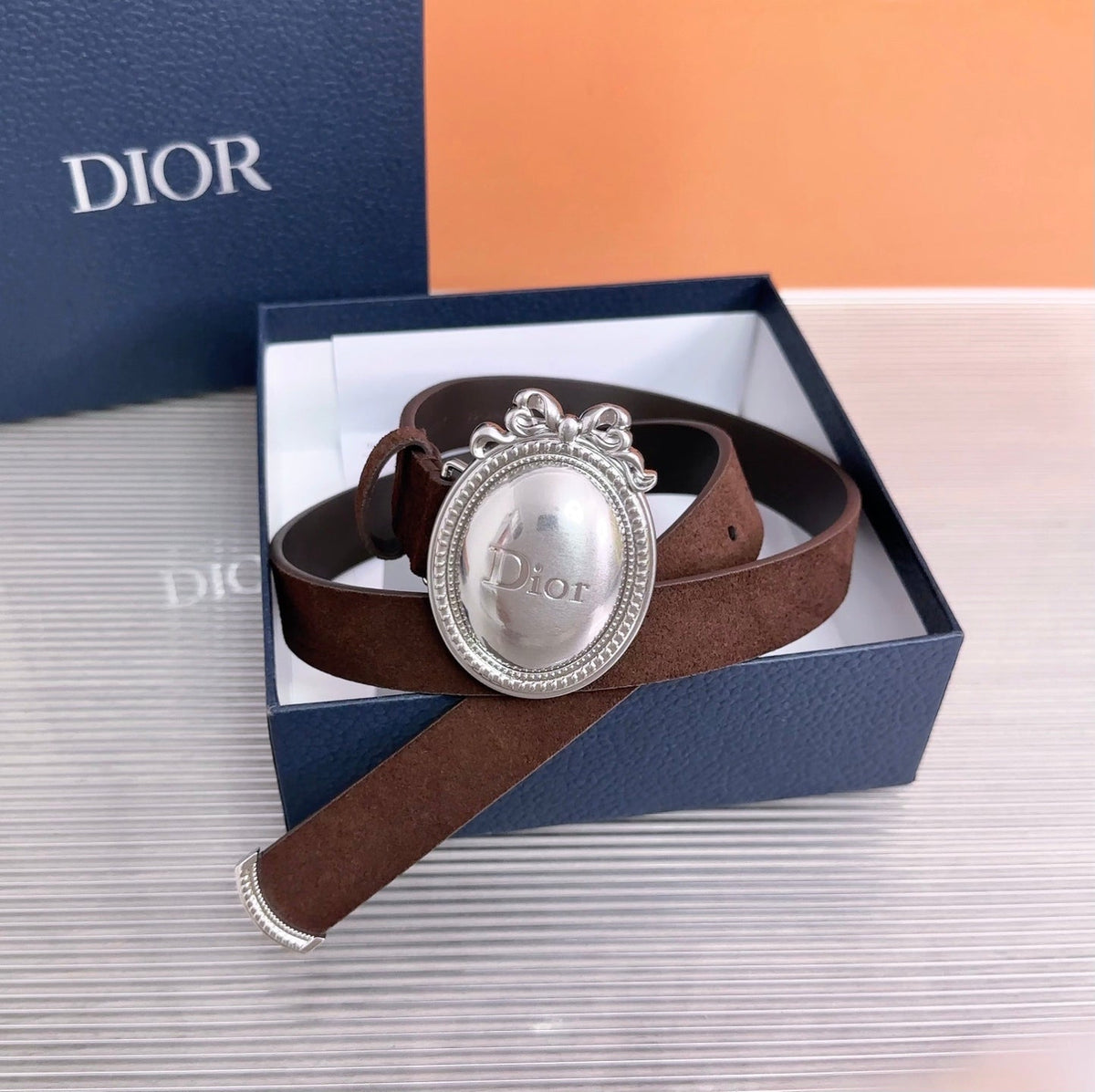 Dior 2026 Medaillon Belt 25mm Suede 218667
