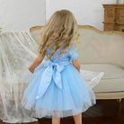Chloe Dress - My Fancy Dress Box