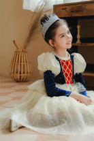 Ruby Dress - My Fancy Dress Box