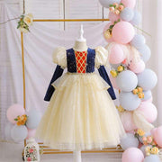 Ruby Dress - My Fancy Dress Box